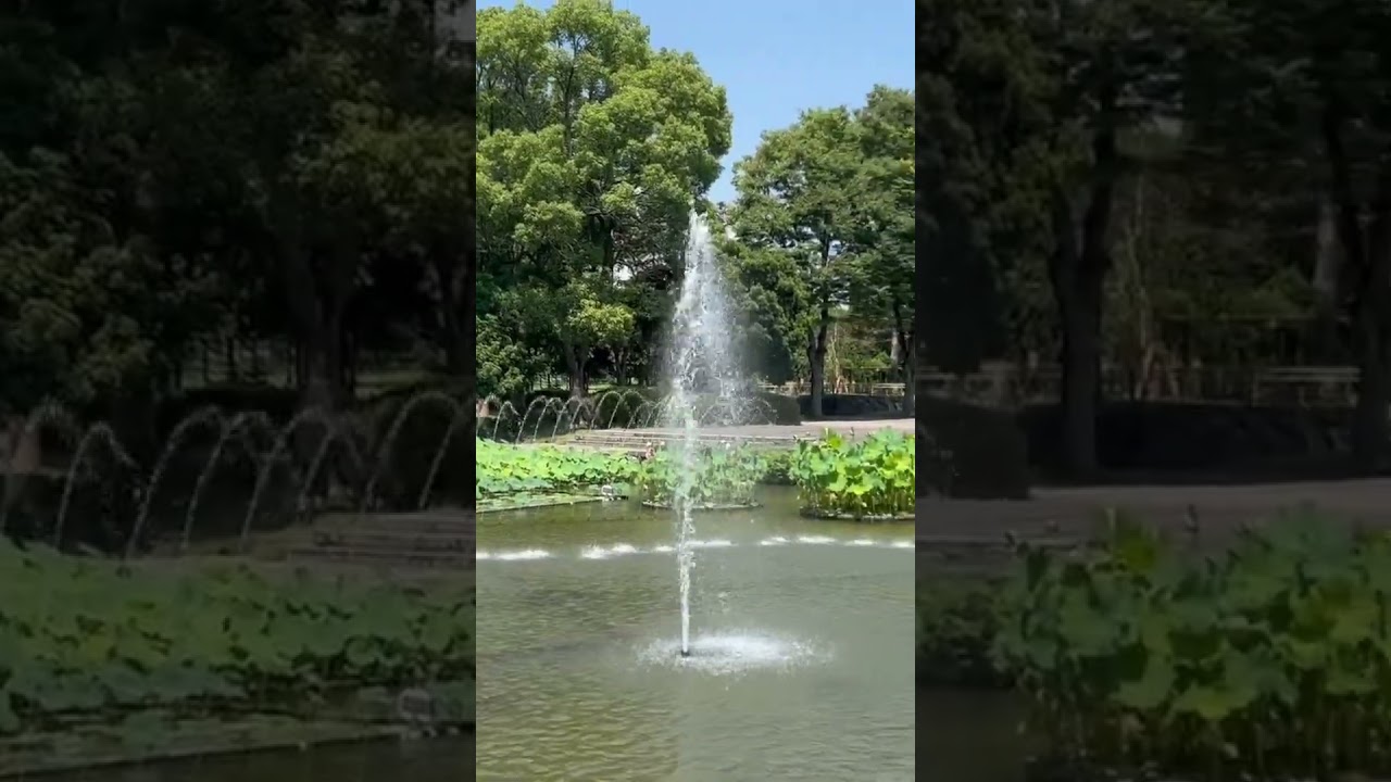 修景池