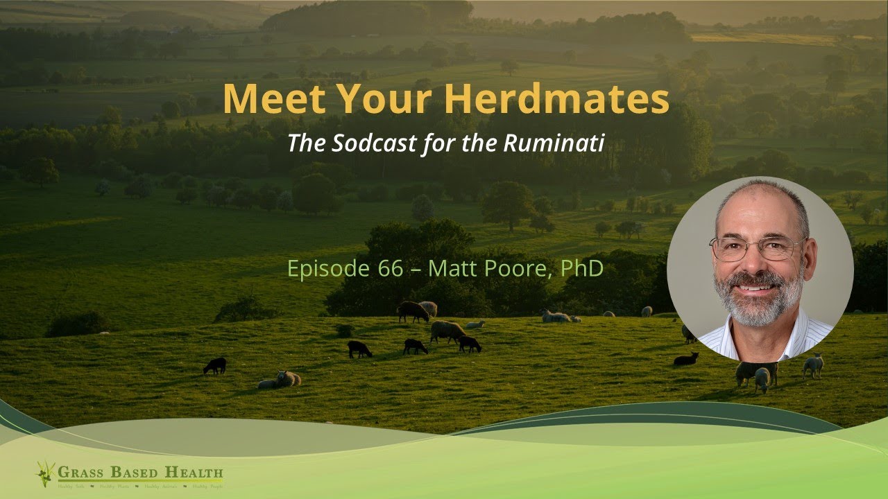 Meet Your Herdmates, Matt Poore, PhD