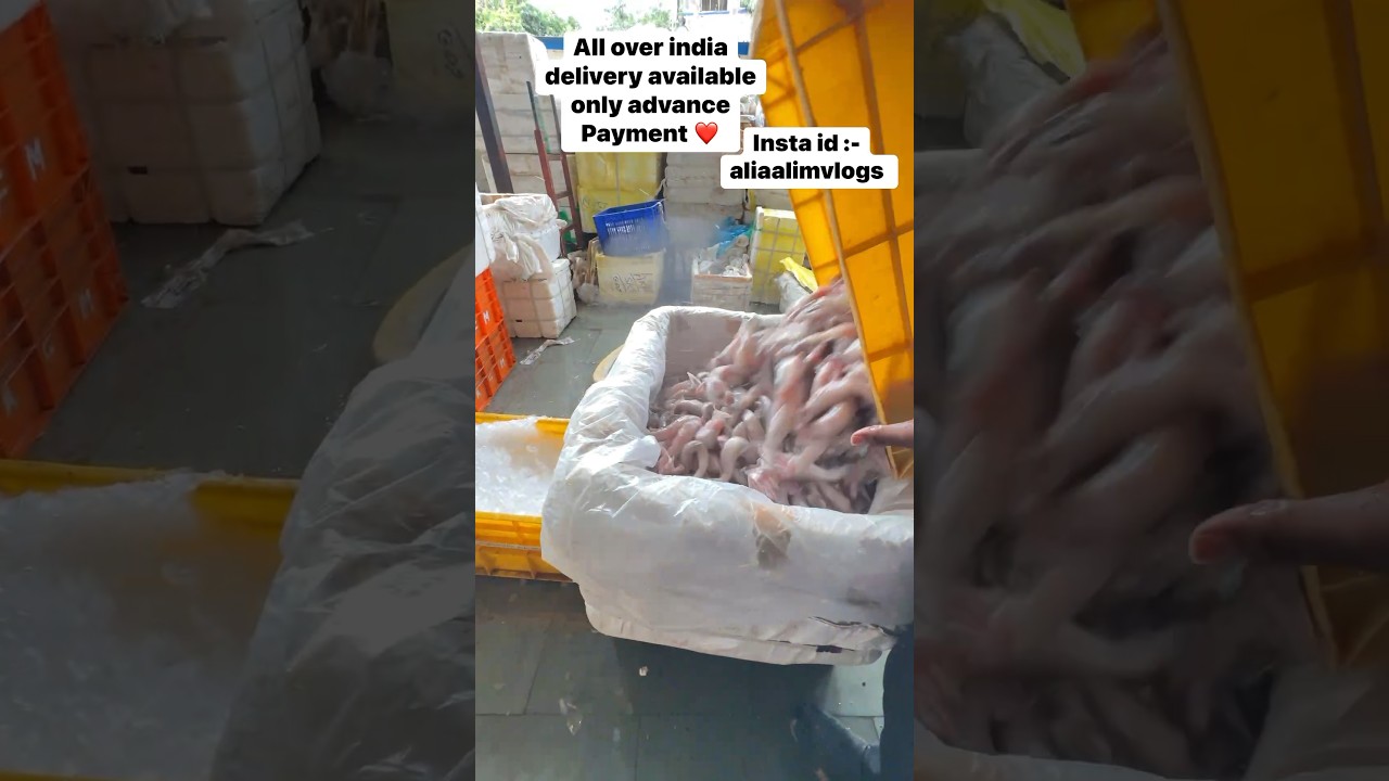 Bomil fish paking mumbai fish market | #fishmarket #shortvideo #trending #viral #youtubeshorts