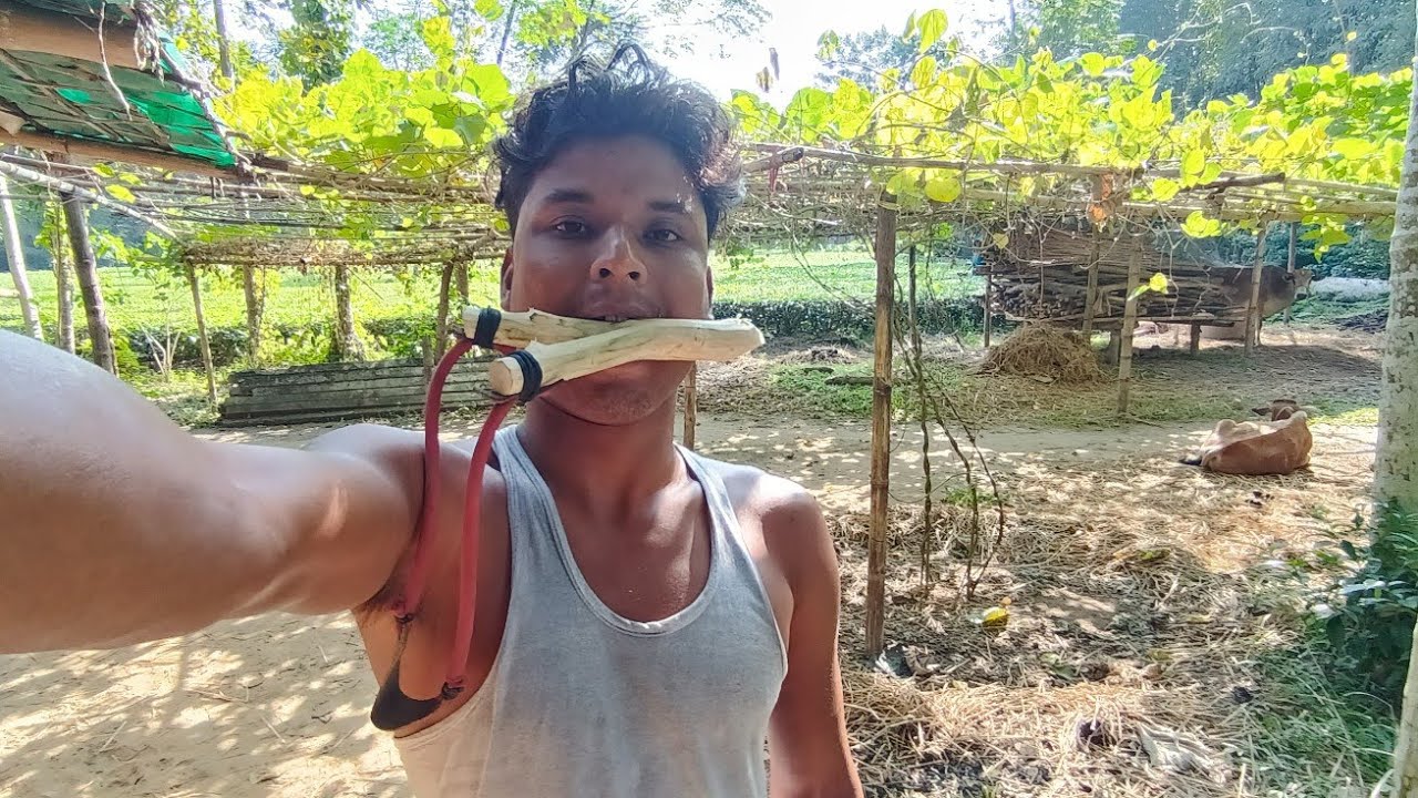 নিজের হাতে গাছের ডাল কেটে বাঁটুল তৈরি: একদম সহজ পদ্ধতি! [DIY Slingshot]