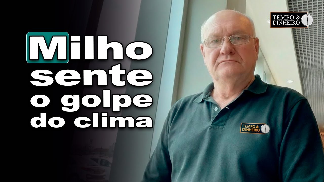 Clima limita o plantio do milho: janela aperta e risco aumenta