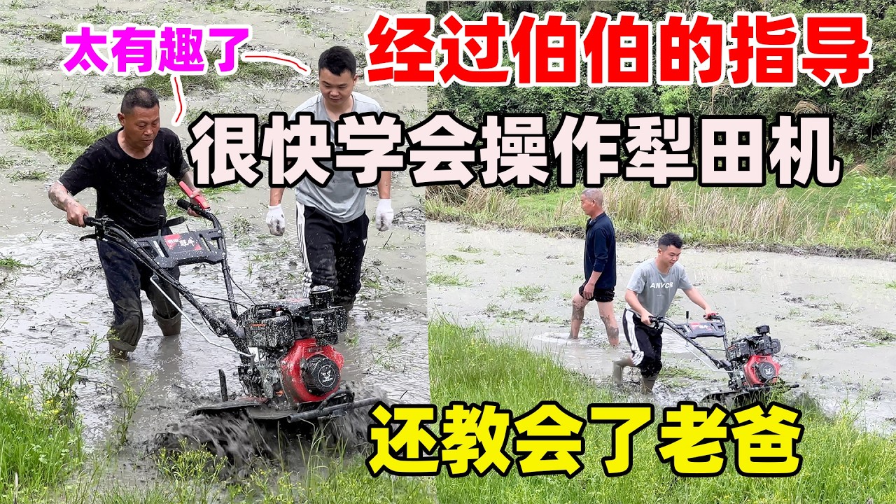 经过伯伯的耐心指导，小唐不但自己学会了操作机器还给老爸都教会了，一会就单独犁完了一整块田
