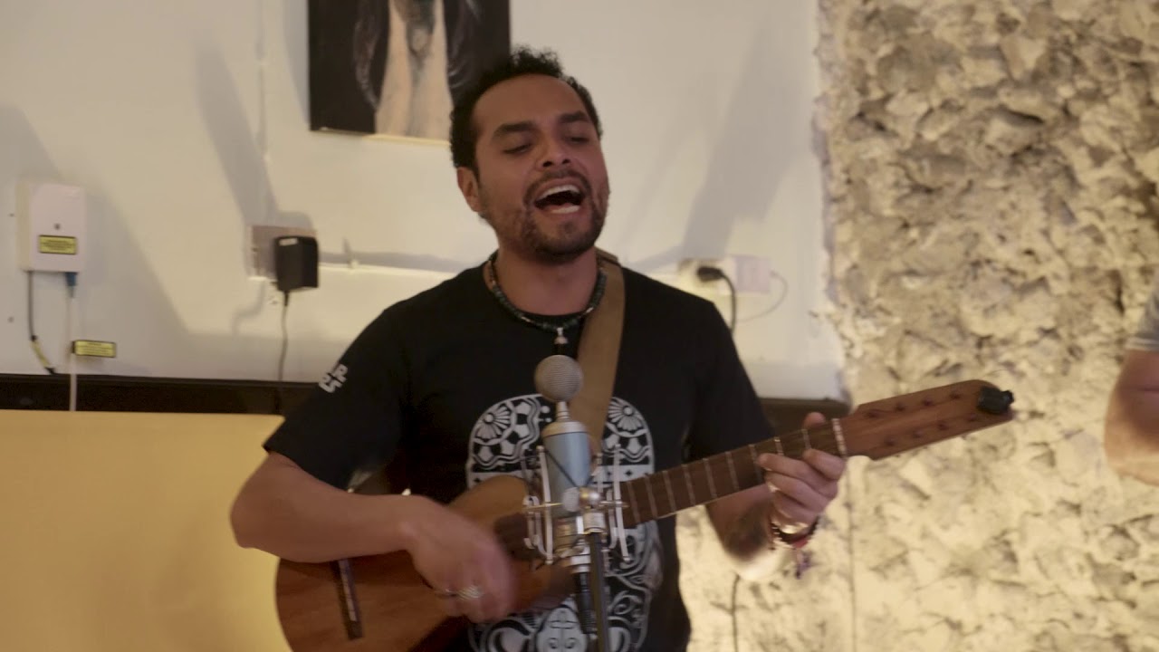 LOS PLÁTANOS MACHOS - SON JAROCHO - EL TORITO JAROCHO