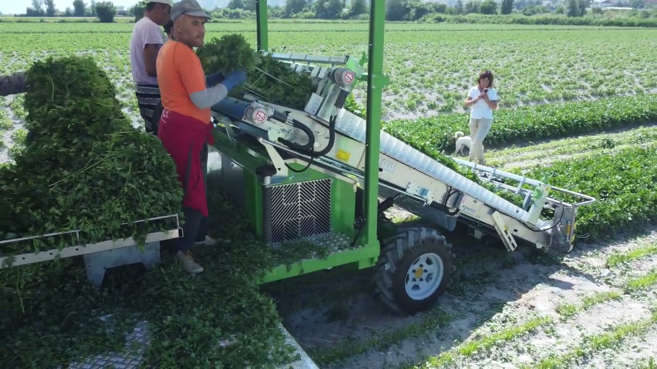 SLIDE CRAB - Parsley harvester machine