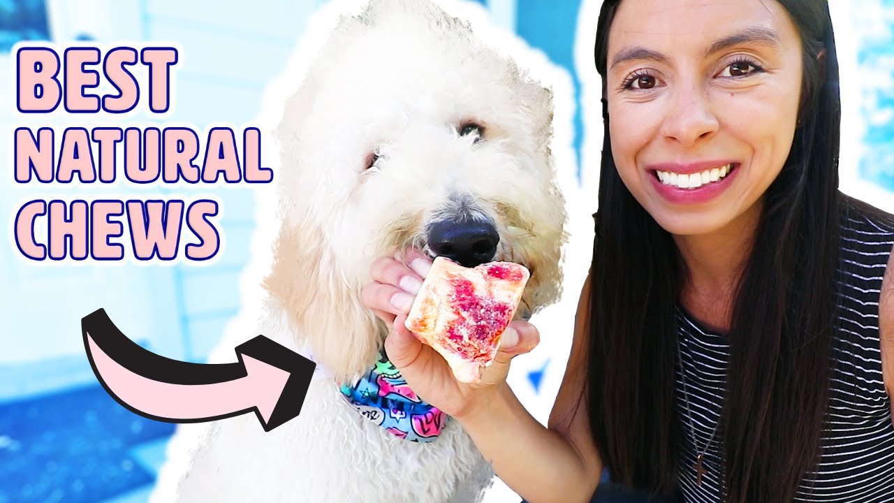 8 Puppy Chew Toys I SWEAR BY 🍖 My Favorite Teething Puppy Chews!