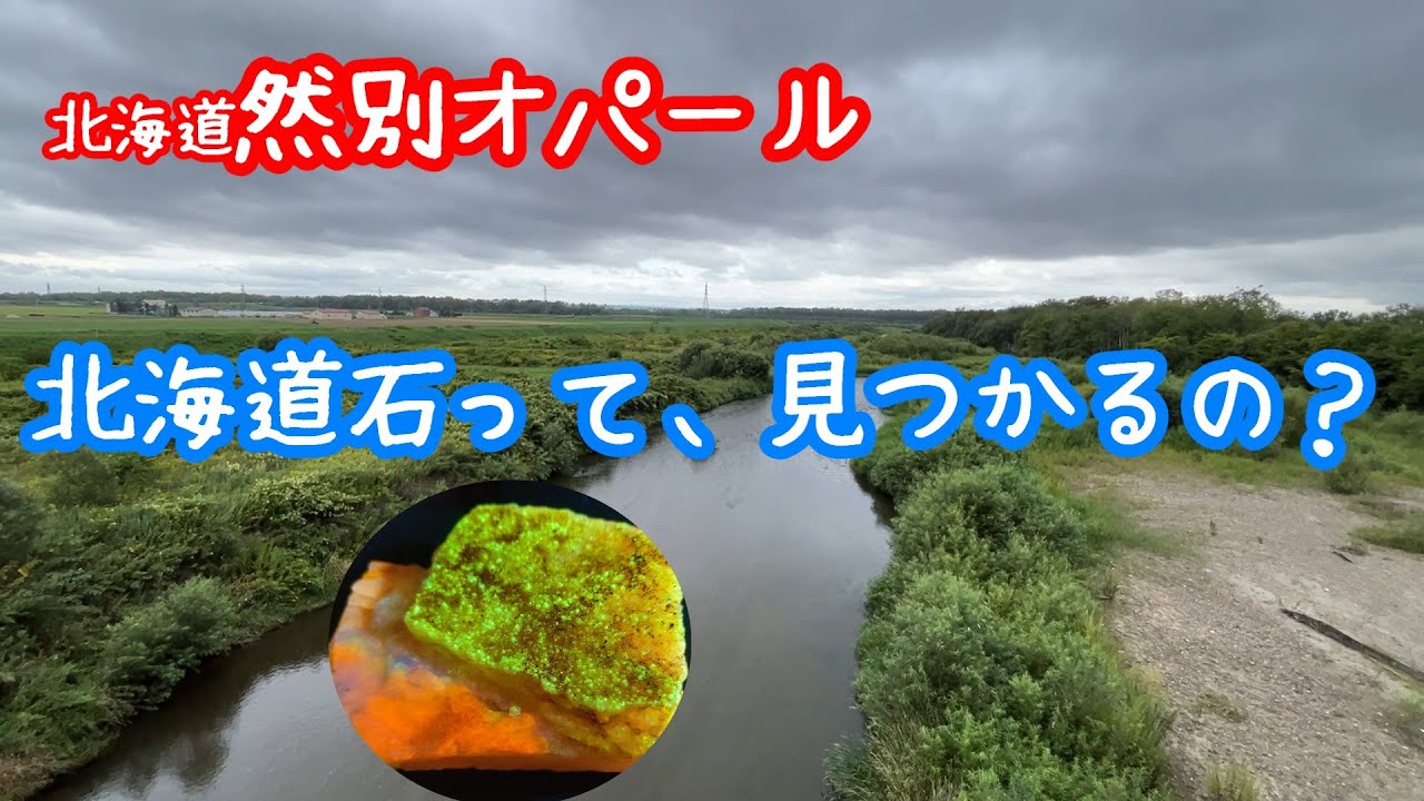 北海道石（然別オパール）って、見つかるの？