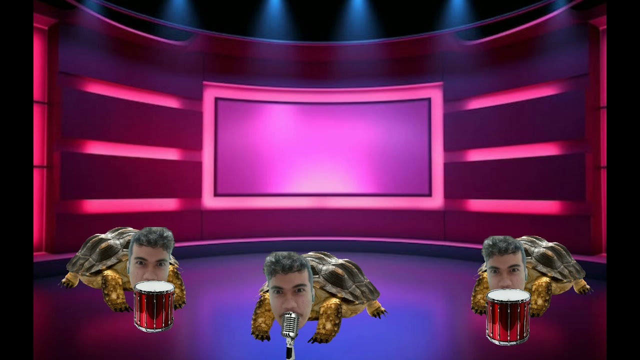The igor Turtle Band Sings The igor Turtle Fame Machine Song