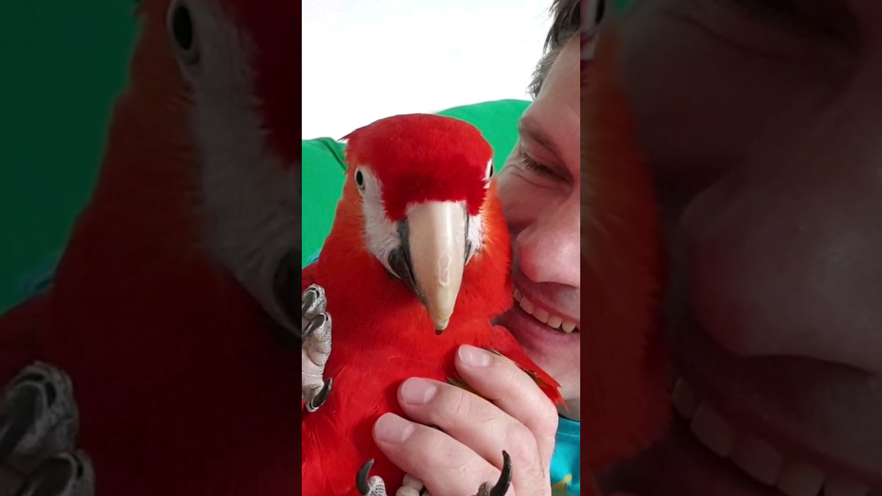 727 - Pavel se mazl&iacute; s arou Markem😀
