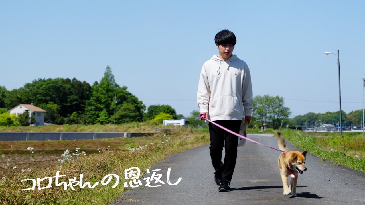 私とコロちゃんの運命的な出会い