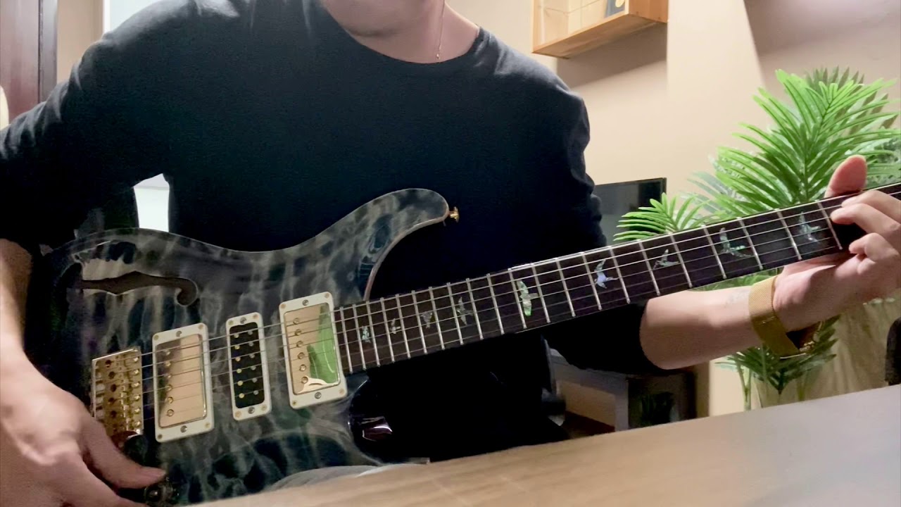 PRS Special 22