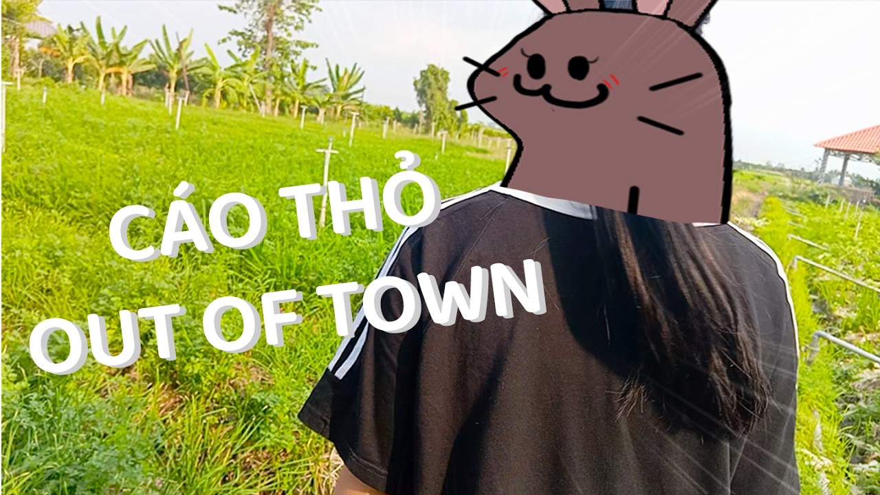 VLOG CÁO THỎ OUT OF TOWN