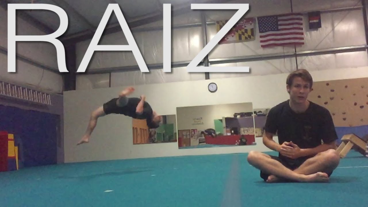 In Depth Raiz Tutorial and Walkthrough