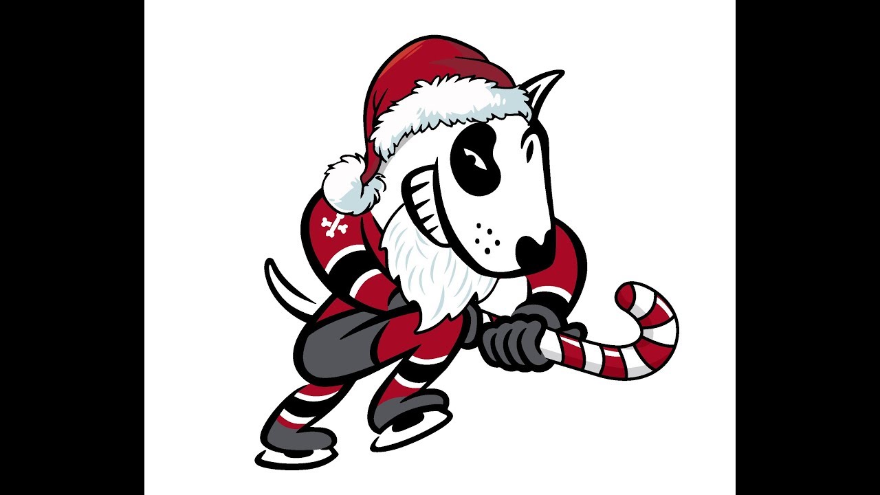 2018-19 Niagara IceDogs Holiday Video