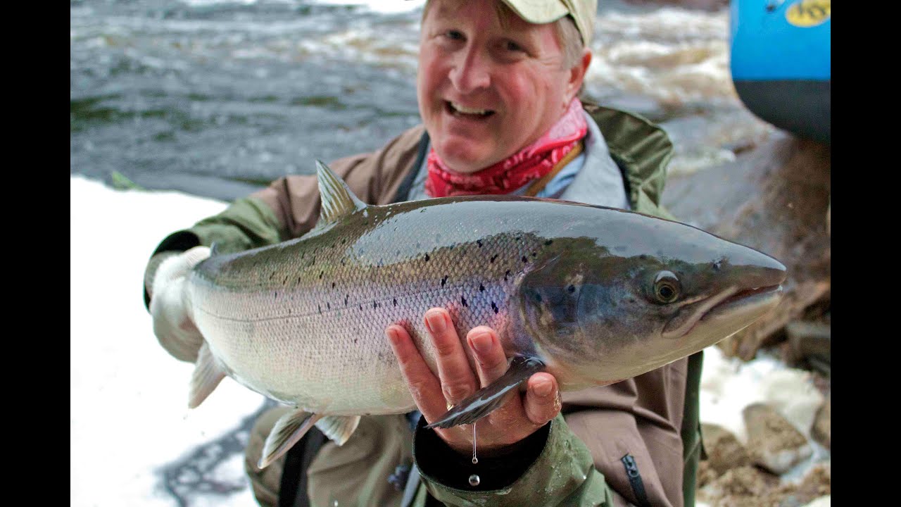 Atlantic Salmon on a Dry Fly | St. Lewis River Labrador