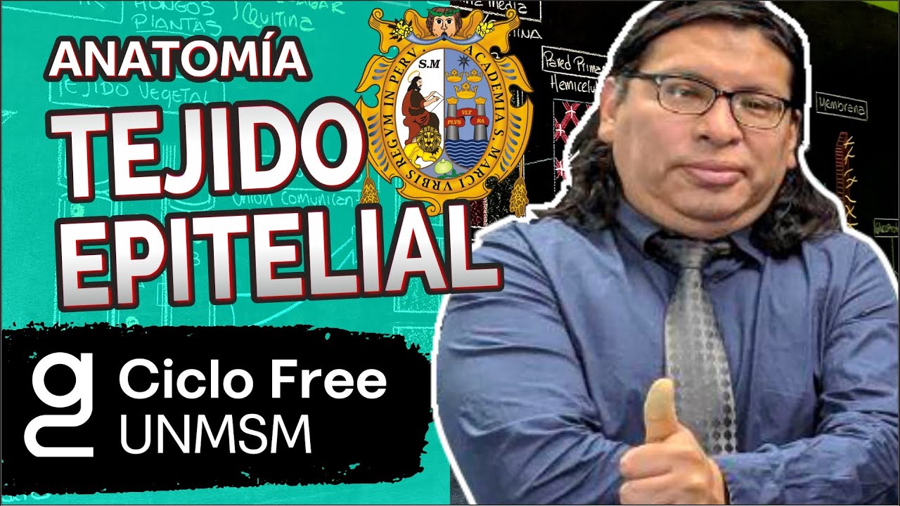 ANATOMÍA - Tejido Epitelial [CICLO FREE]