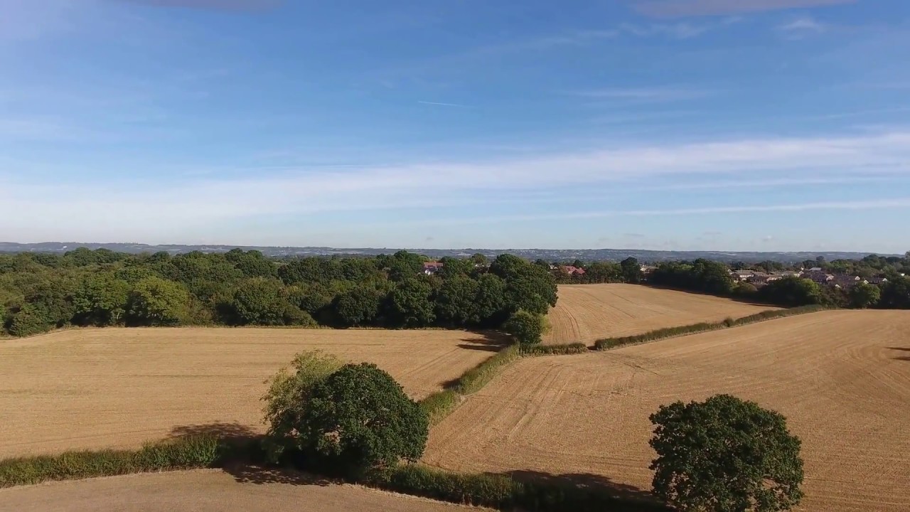 In A Field Staplehurst