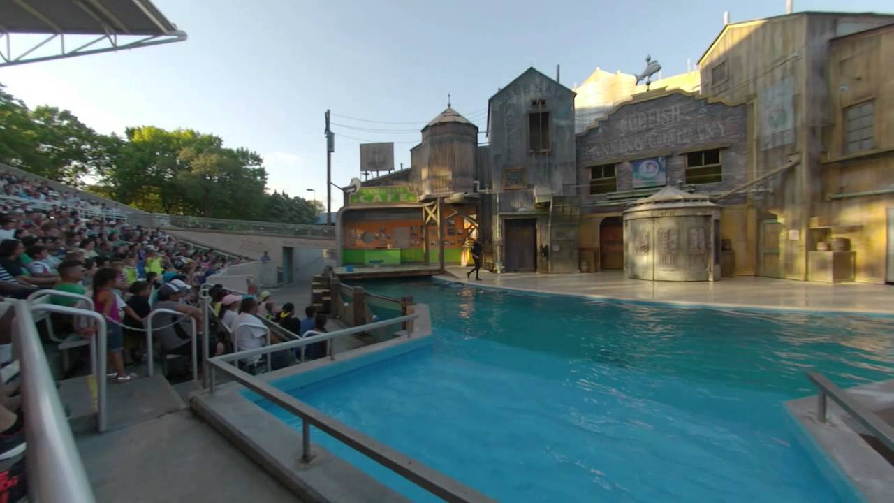 Sea World San Antonio Sealions Tonight show 083014