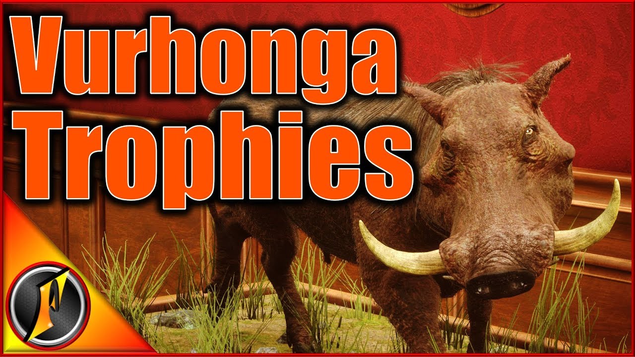 Diamonds & a Cool Rare for the Trophy Lodge!