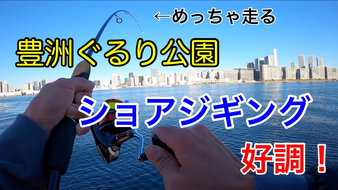 【豊洲ぐるり公園】冬の豊洲ぐるり公園をジグサビキとアオイソメで攻める！