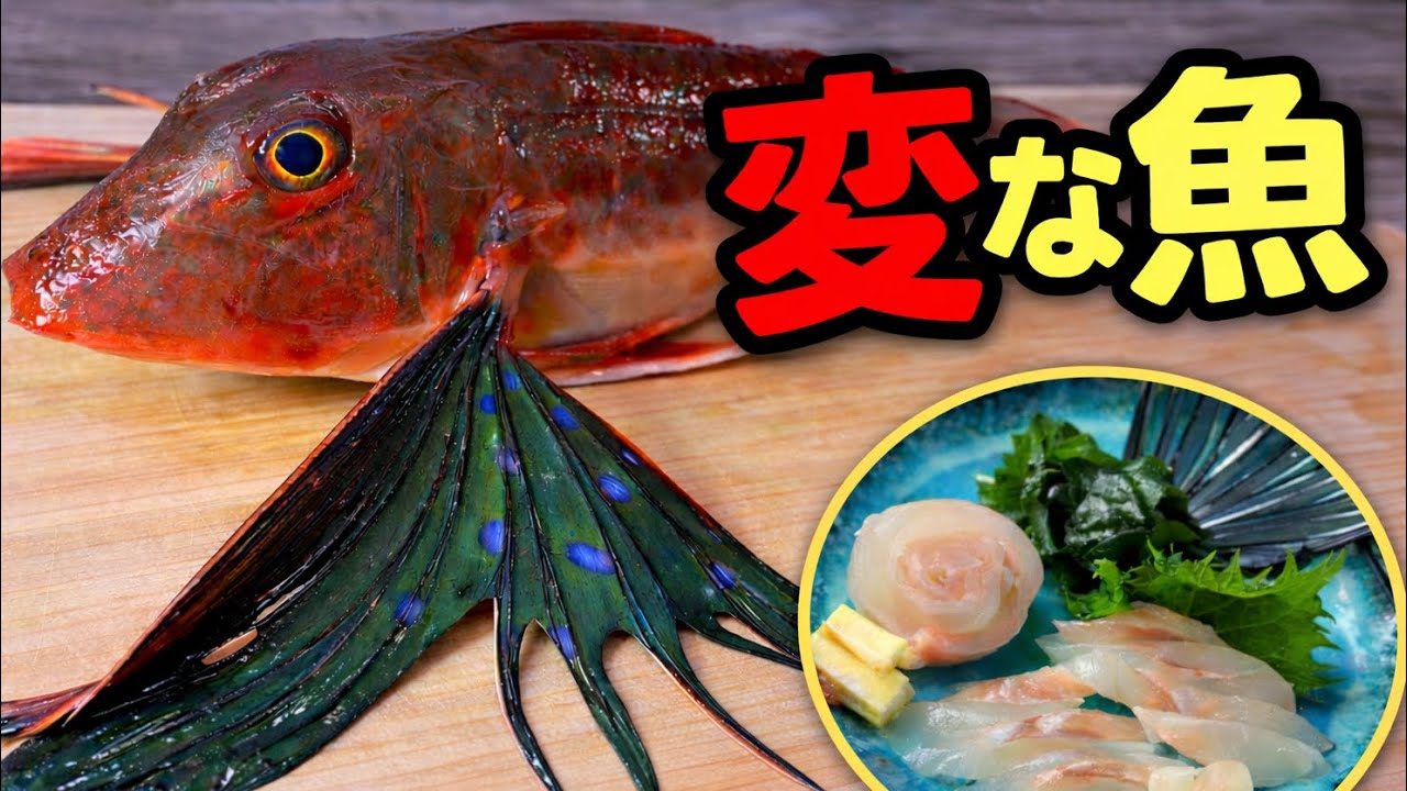 魚屋で見つけた変な魚、刺身にしたら意外すぎた