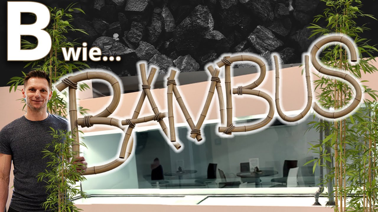 3 Meter Aquarium wird zum Bambus-Becken | MEDPOL Praxis-Aquarium #2 | Petonus on the road