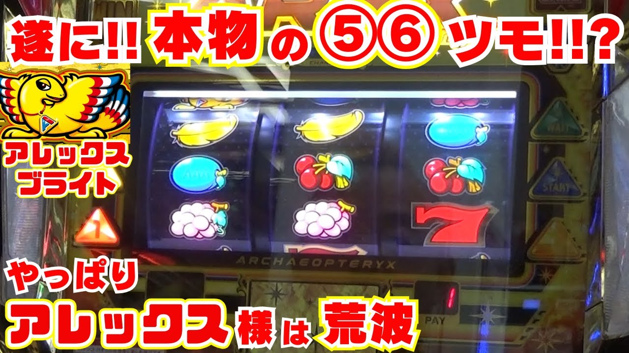 遂に！本物の⑤⑥をゲット！！？【アレックスブライト】 こんなに当たって 最高なリーチ目いっぱい そして しっかり荒波アレックス！【1月10日 デルグランド上横田店 中山馬鹿実践取材】