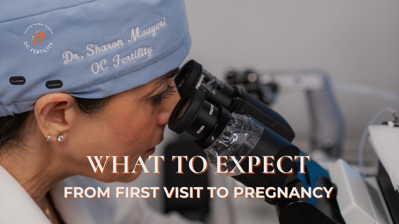 What to Expect at OC Fertility: From First Visit to Pregnancy