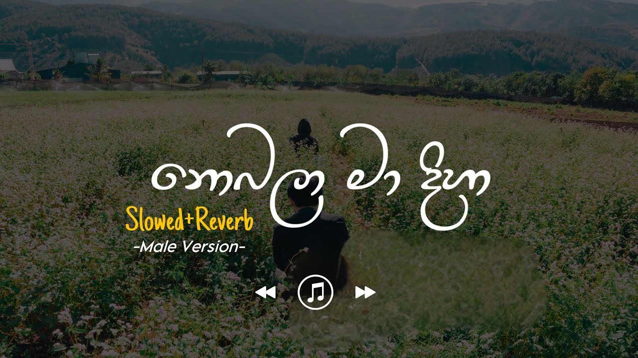 Nobala Ma Diha - නොබලා මා දිහා | Male Version (Slowed+Reverb)