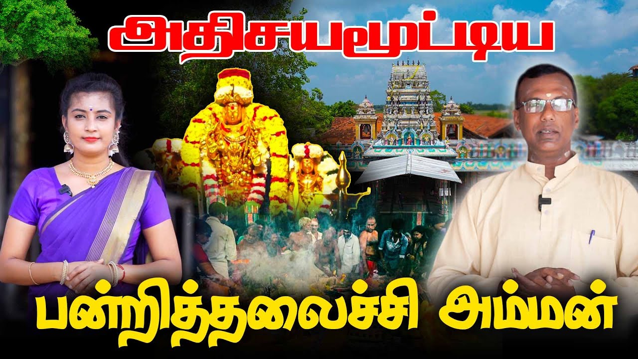 அதிசயமூட்டிய பன்றித்தலைச்சி அம்மன் | Theepa Tharisanam | Madduvil Temple  - Nomika