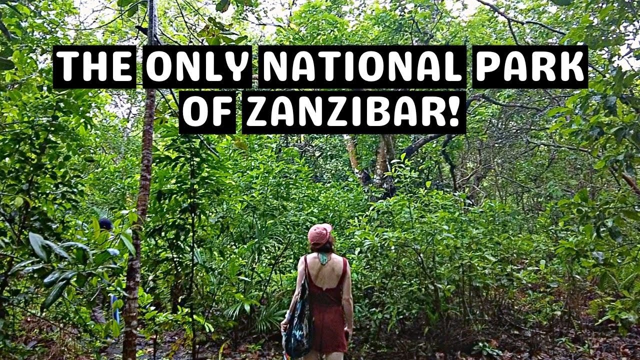 Why you shouldn't skip Jozani Forest in Zanzibar 🇹🇿