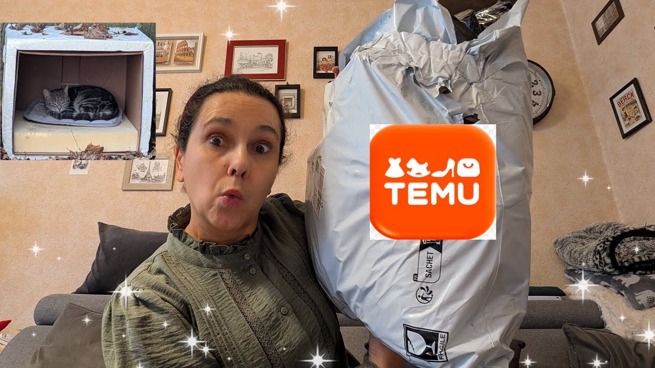 Haul Temu / Pour les chats, les ongles et autre... C'est parti ! 😻