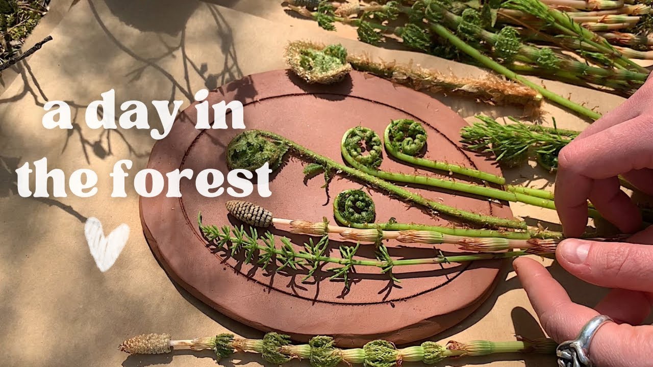 A try to create botanical plaster cast in the forest 🌳 Searching for the perfect composition in art