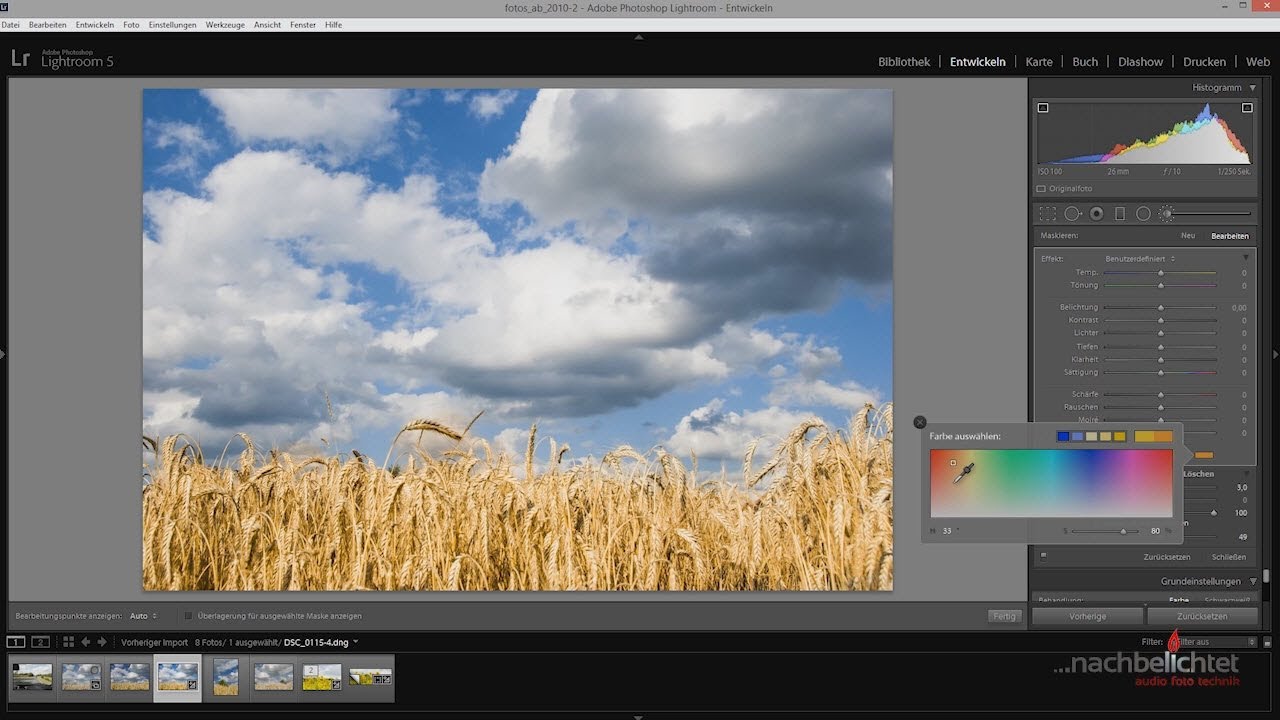 Lightroom Praxistipp Nr. 6 - mehr Farbe mit dem Korrekturpinsel