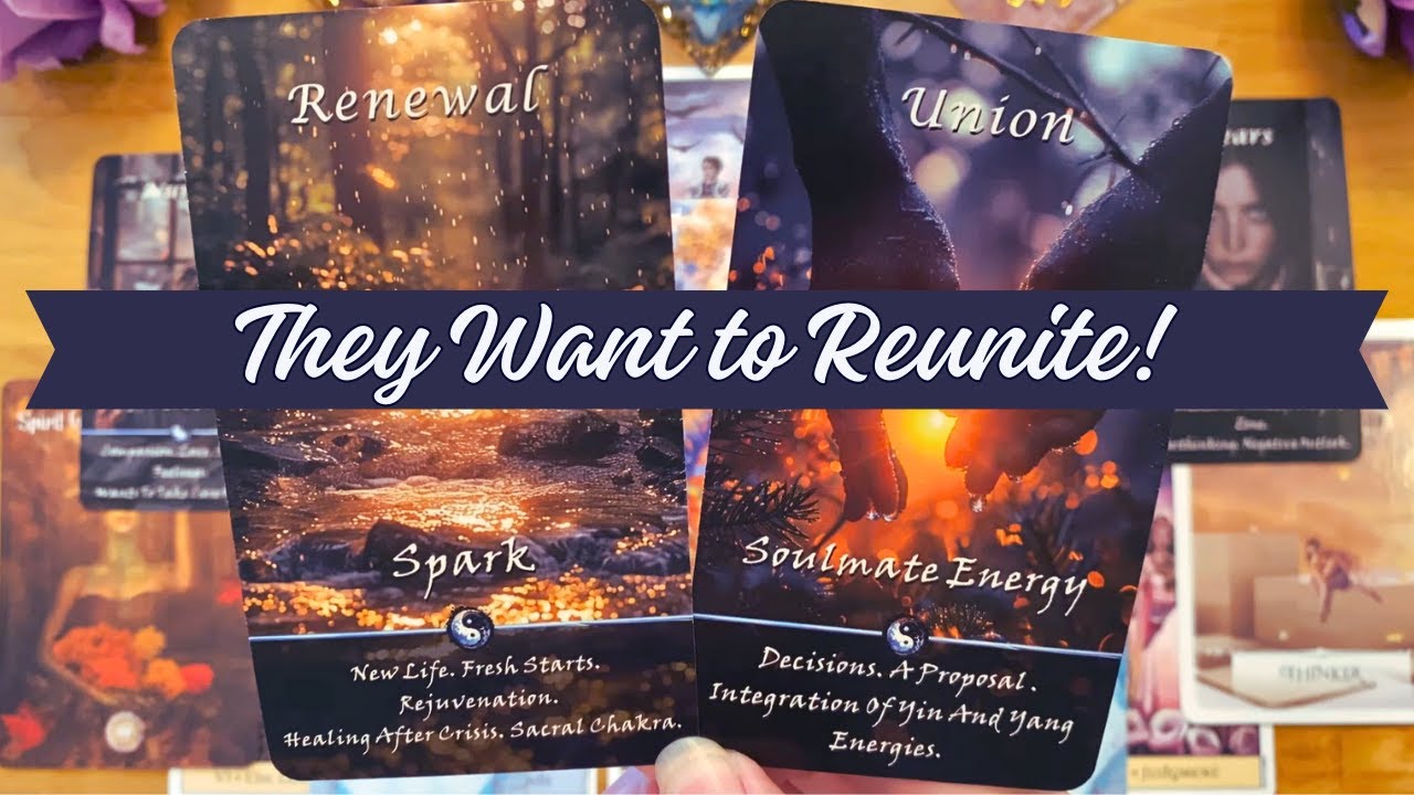 YOUR PERSON WANTS TO MAKE YOU AN OFFER! 🥰 💞 (LOVE TAROT READING) 💘