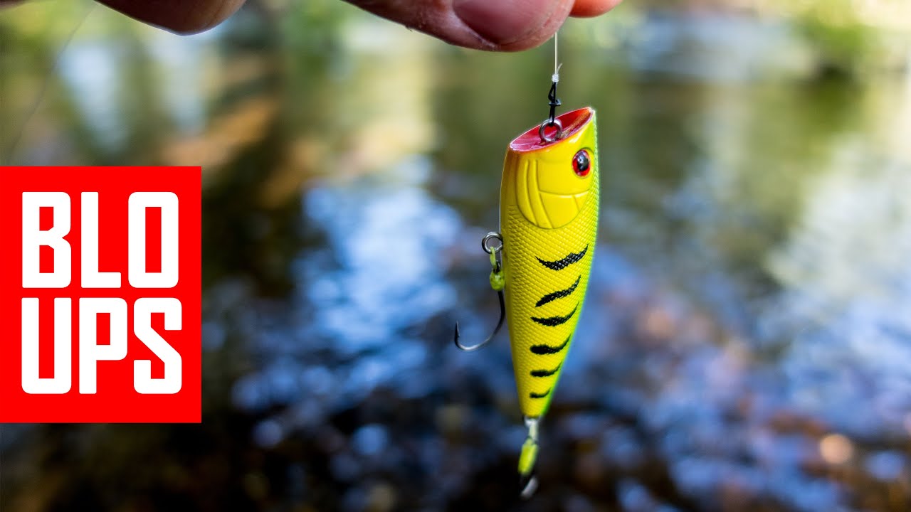 How to catch BIG Chub on topwater lures? Lure fishing tips and tricks explained in practice