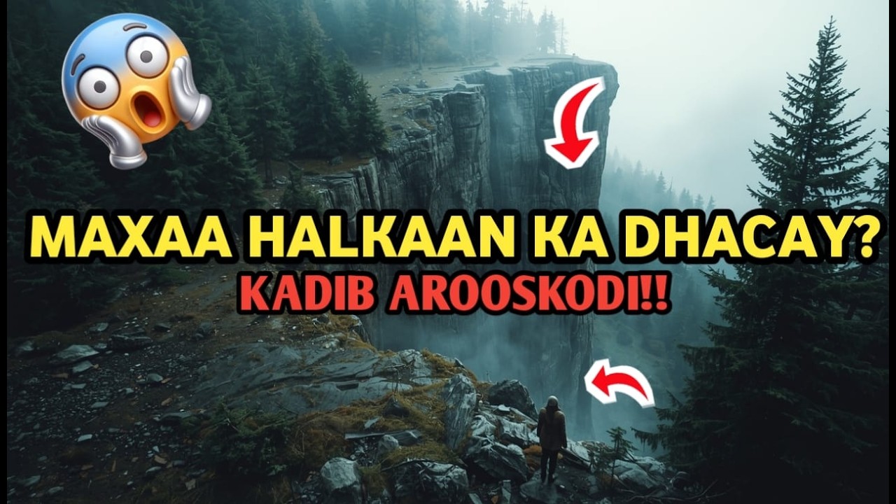 AROOSKOODA KADIB AYAY NINKEEDII DISHAY? LAAKIIN SABAB...? QISO MURUGO BADAN!!