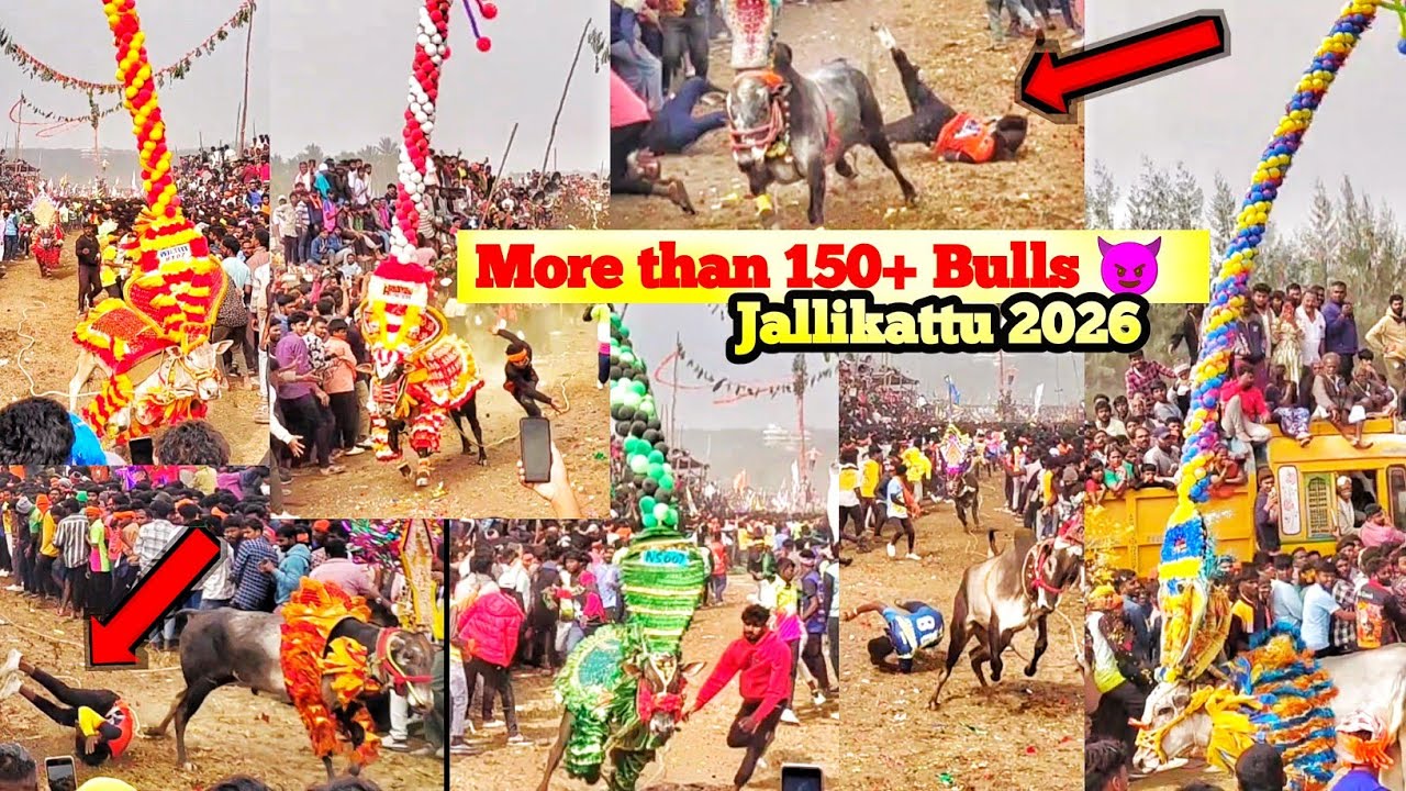 Gopasandram (கோபசந்திரம்) jallikattu | Festival Jallikattu Gopasandiram 2026 