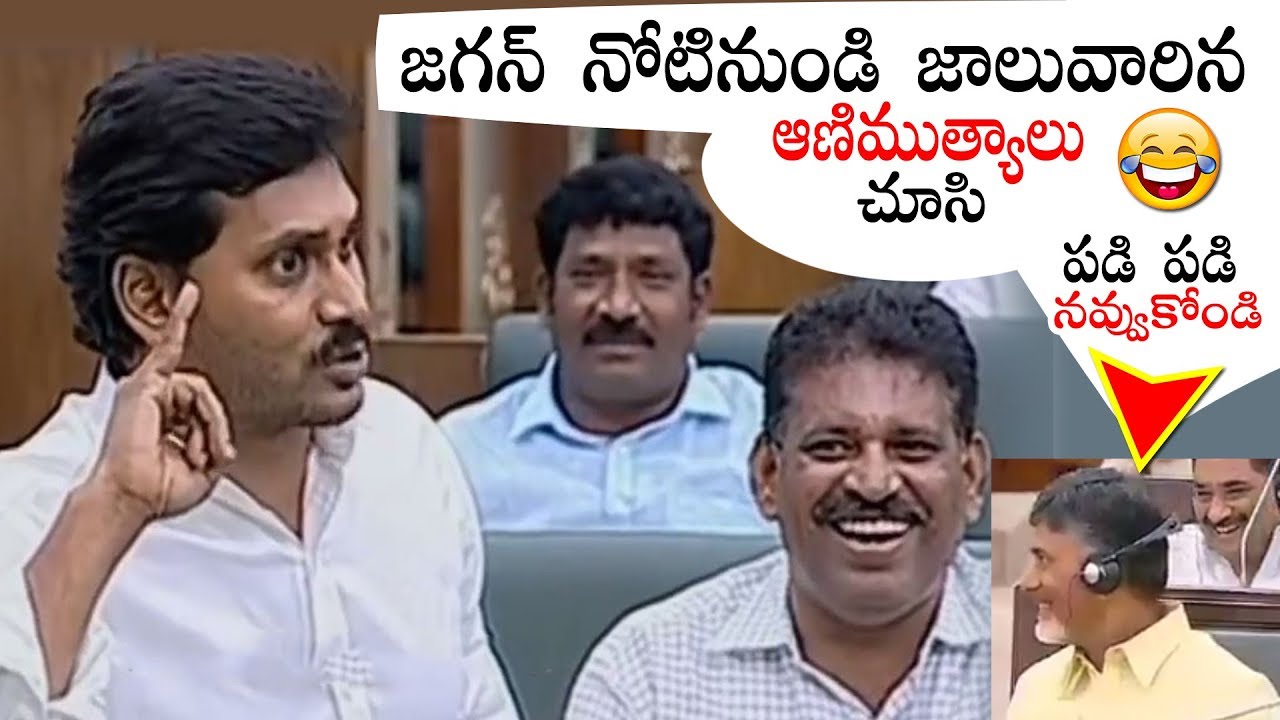YS Jagan Rare Comedy Punches Video | YS Jagan Unseen Comedy Video | Political Qube