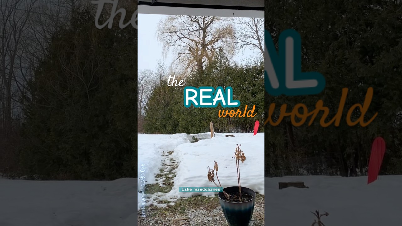 The real world. 