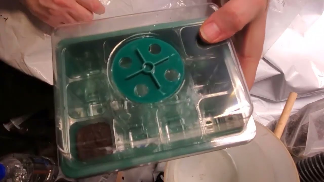Germanate Seeds with Rapid Rooters   Grow Course