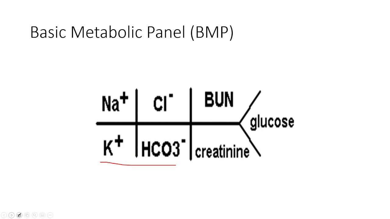 Acute Care Physical Therapy 6: Basic Metabolic Panel and Other Labs