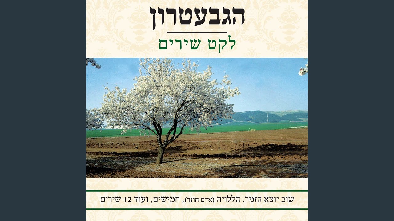 גבעה אחת