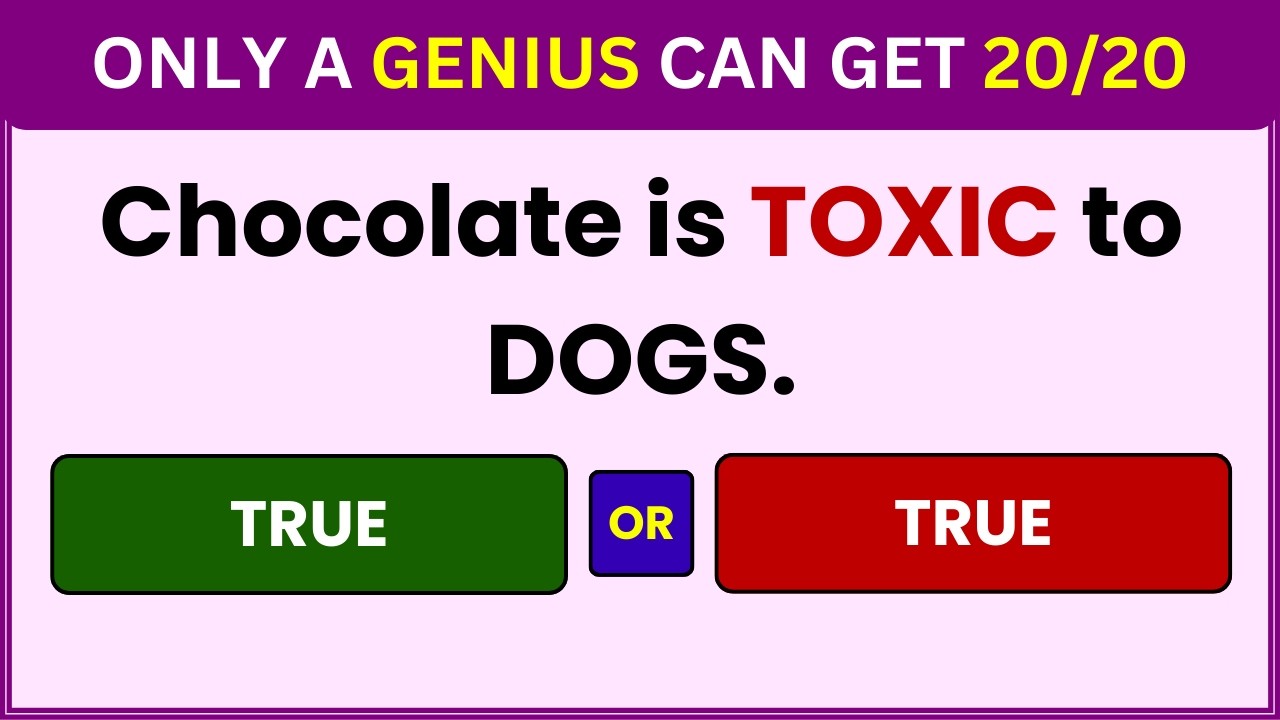 General Knowledge Quiz | Quiz | True or False quiz videoquizhero answer |videoquizhero true or false