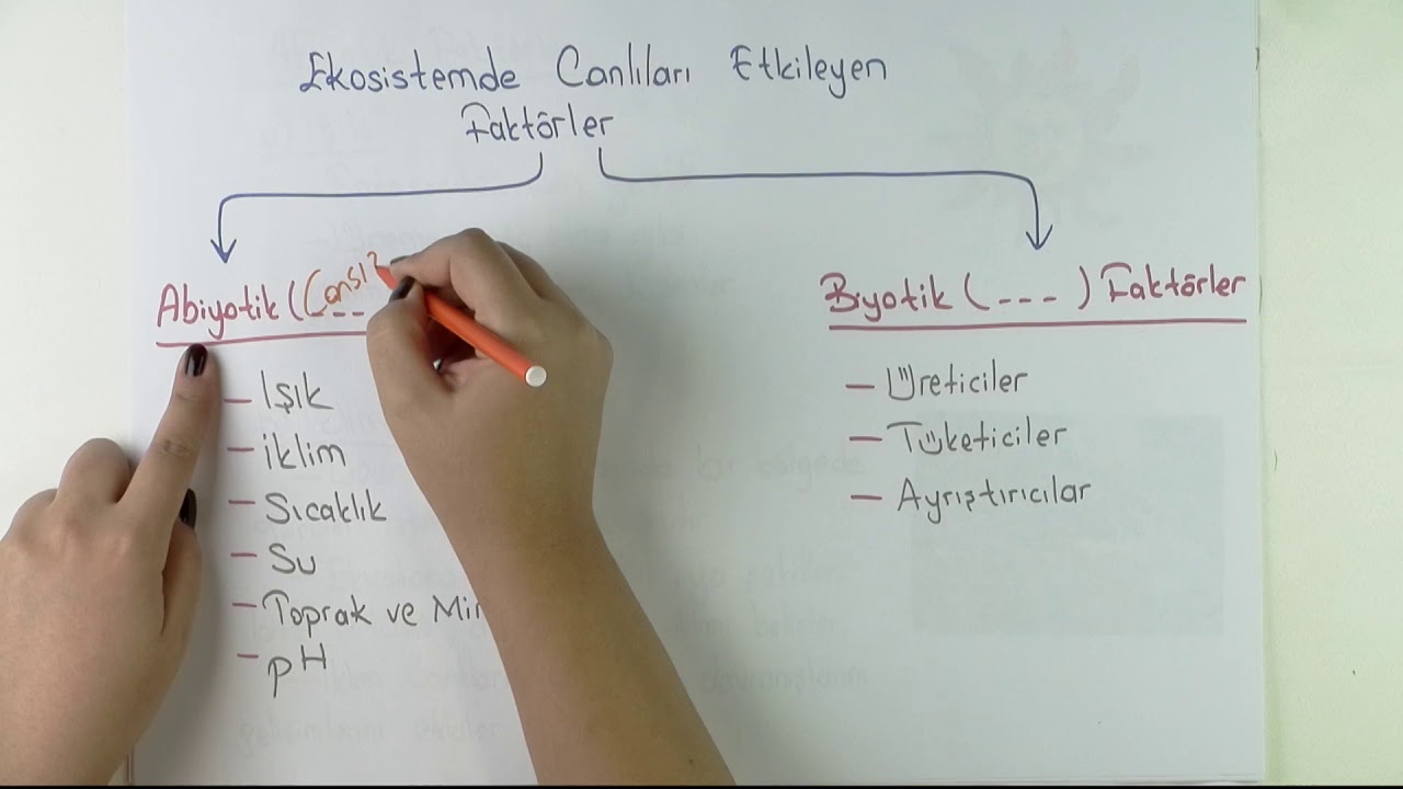 Biyoloji Ekosistem Ekolojisi I Canlı-Cansız Bileşenleri