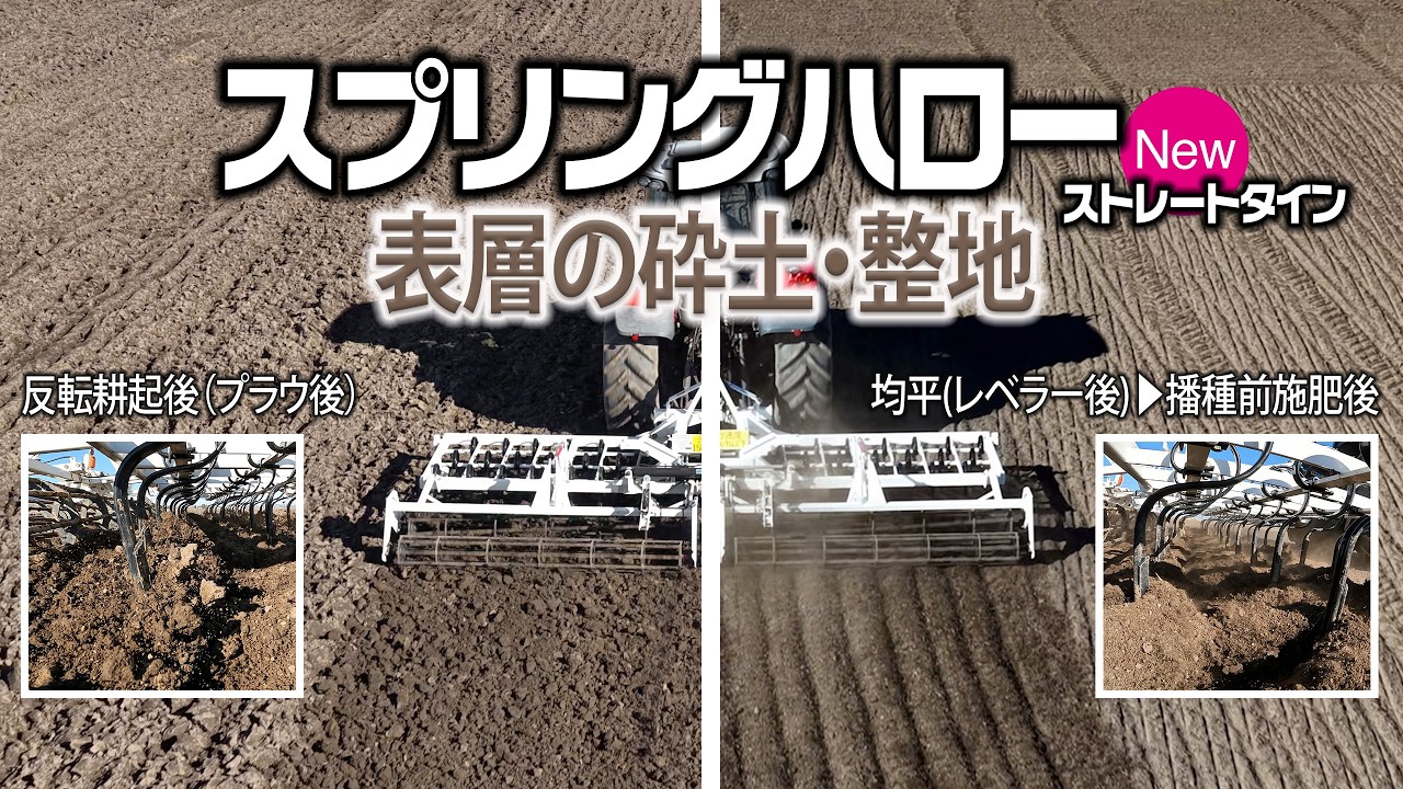 好評のスプリングハローにストレートタインが新登場！