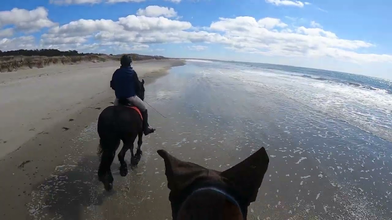 Horseneck Beach Gallops March 2023