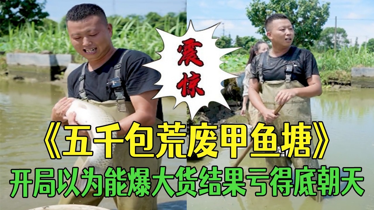 花5000塊包荒廢甲魚塘，開局以爲能爆大貨結果虧得底朝天 #小飛哥  #抓魚 #護外  #農村生活 #我要上熱門 #包塘