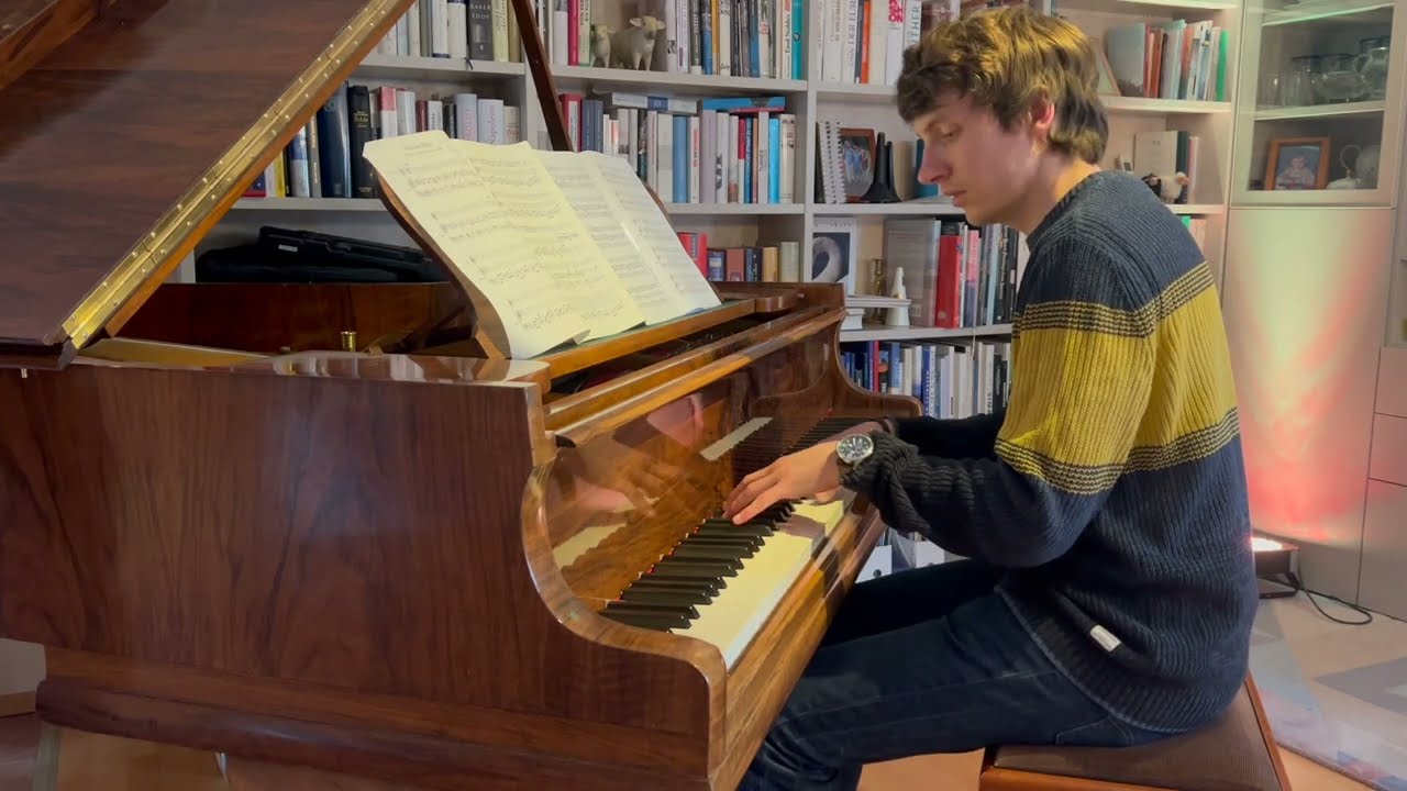 Tanz der Elfen (Trompete mit Klavier)