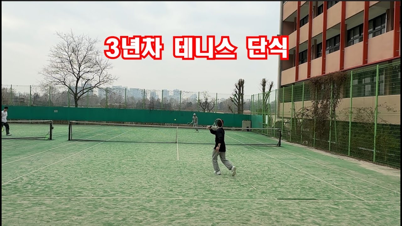테니스 단식 [12]