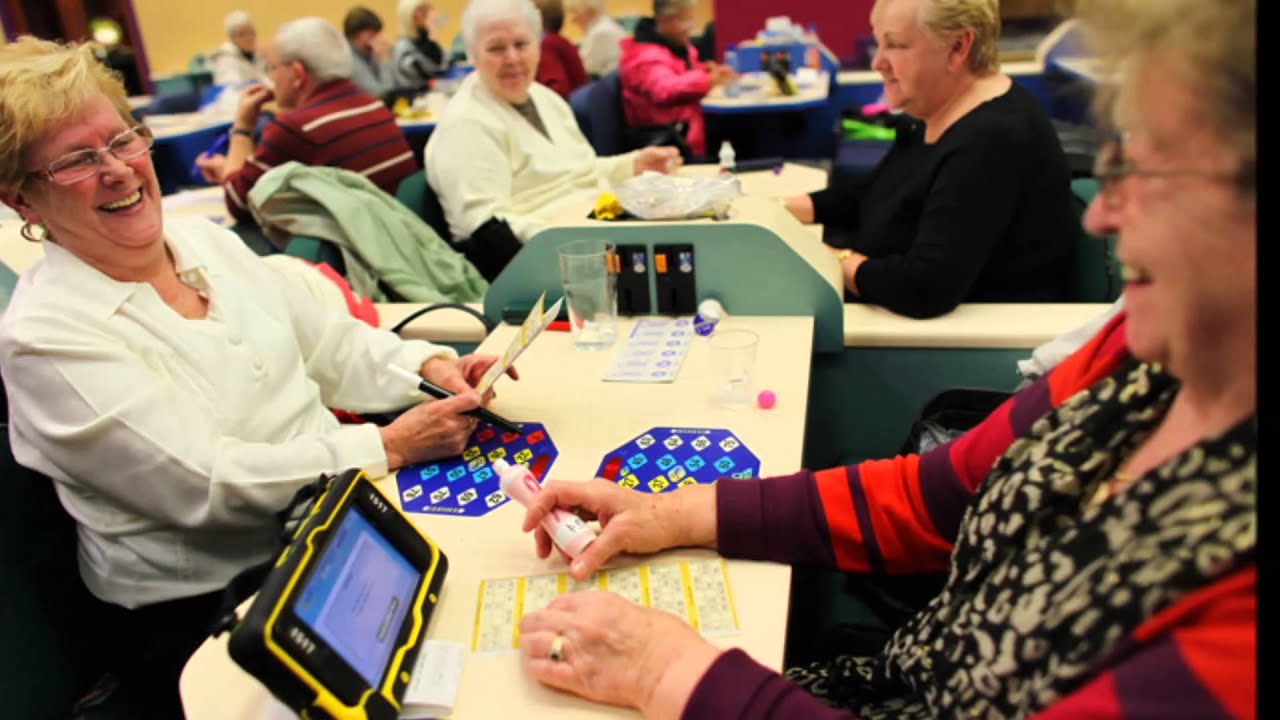 The Bingo Mania | Top Bingo Games | Play Bingo Online